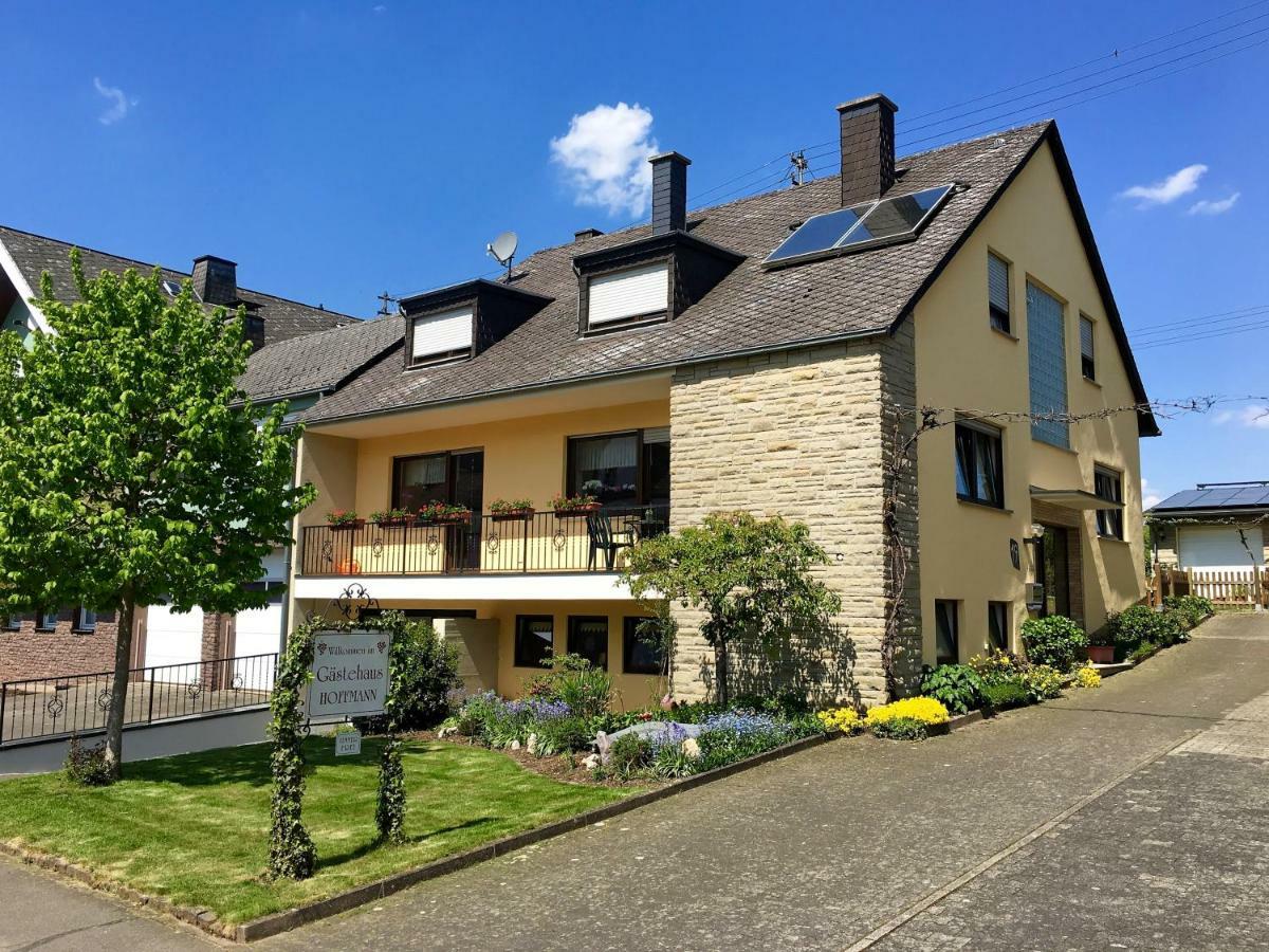 Bed and Breakfast Gastehaus Hoffmann Farschweiler Zewnętrze zdjęcie