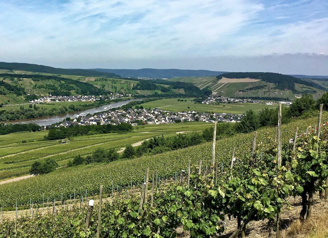 Gaestehaus Hoffmann Farschweiler Zewnętrze zdjęcie
